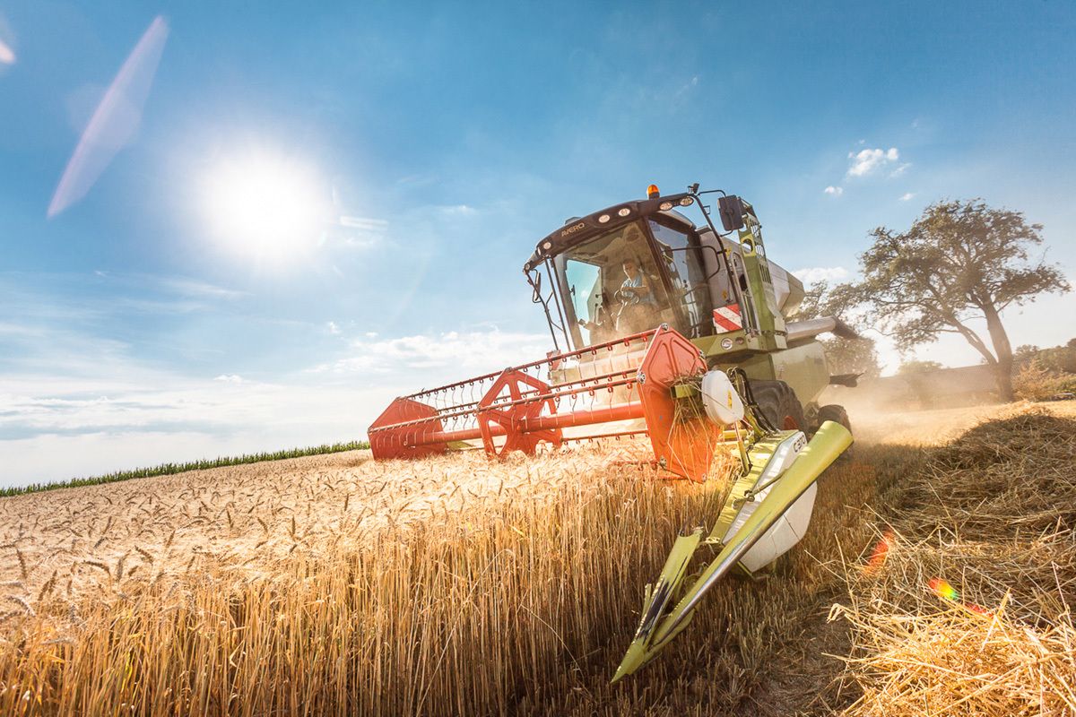 Landwirt erntet Mehlabfüllung